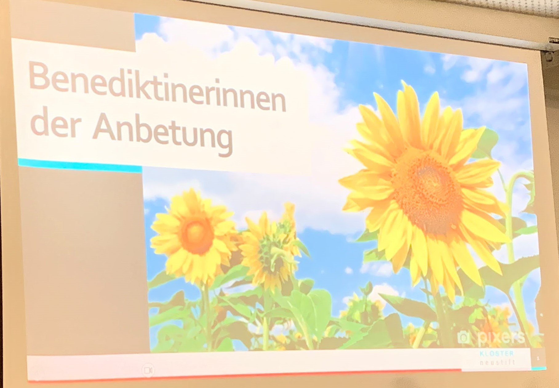 2026 10 10 sonnenblume